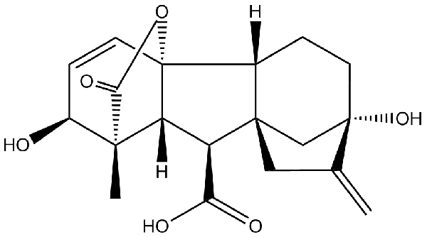 赤霉素GIBBERELLIC ACID，居然有這么神奇？