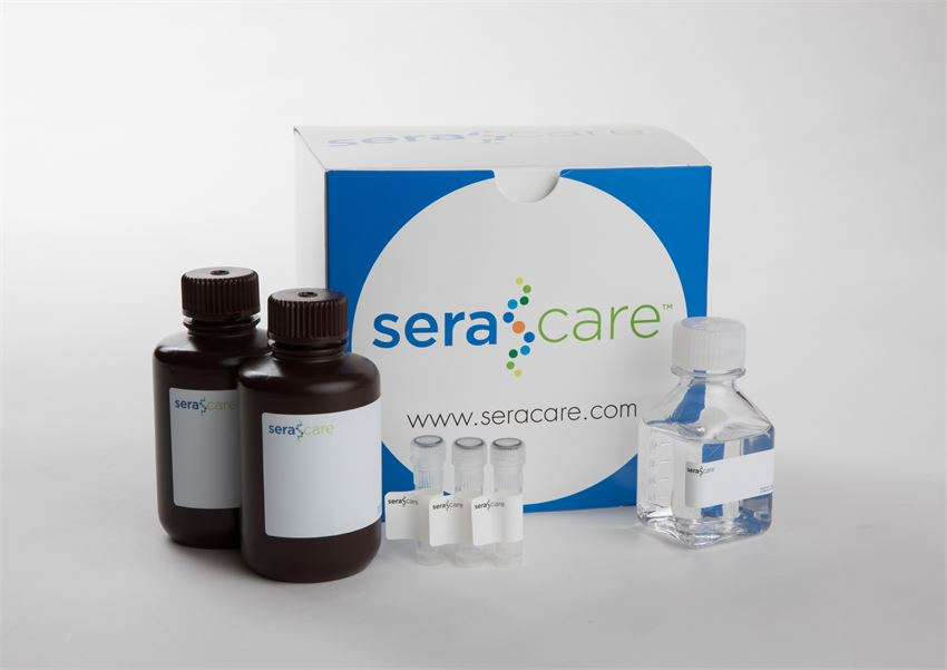 SeraCare?KPL高性價比WB底物 SeraCare?KPL高性價比WB底物
